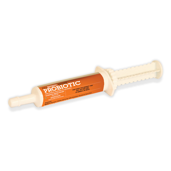 Fullbucket Probiotic Equine Paste Performance Vet Supply