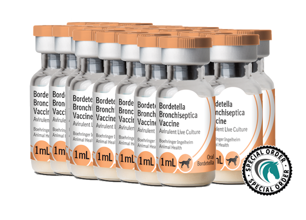 Bordetella vaccine for deals sale