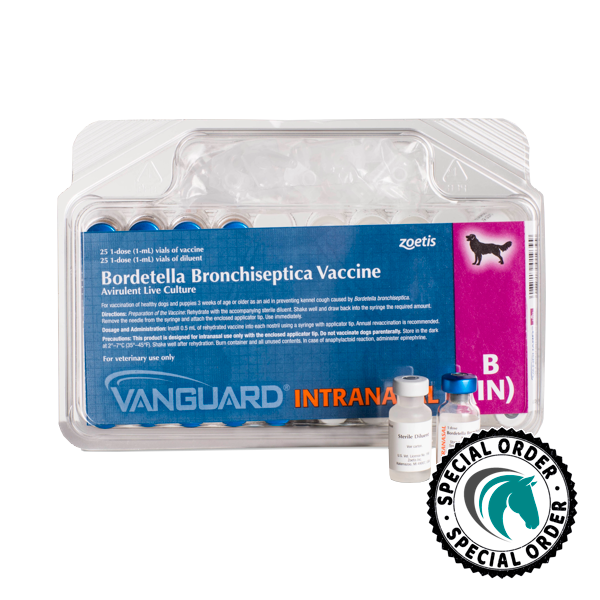 Intranasal kennel cough hot sale vaccine
