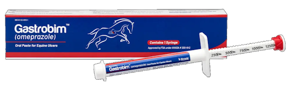 Equine Gastric Health – Performance Vet Supply