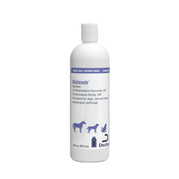 Malaseb Medicated Shampoo – Performance Vet Supply