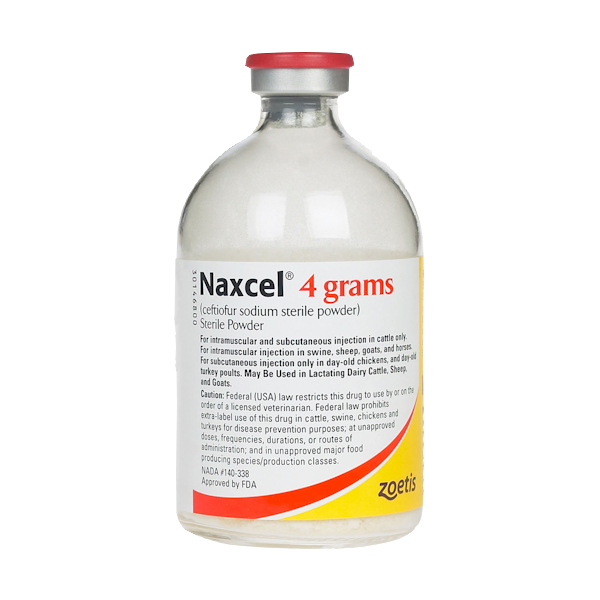 Equine Antibiotics – Performance Vet Supply