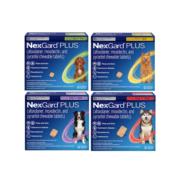 Next Guard Plus Dogs All Dog – Page 3 – Performance Vet Supply