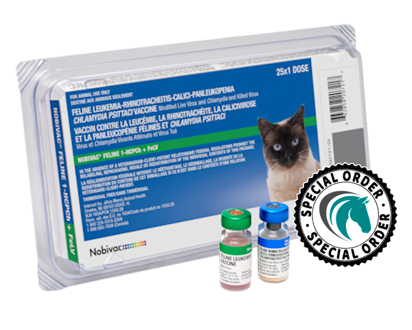 Feline rhinotracheitis deals vaccine