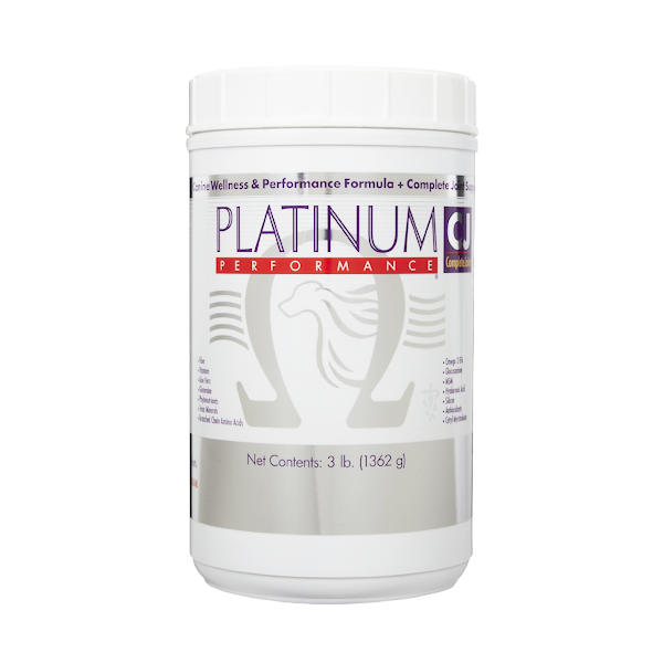 Platinum top performance dog