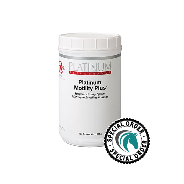 solgar acetyl l carnitine 250 mg Amazon.com: Carlyle Acetyl L-Carnitine HCL Supplement | 500mg Capsules | 180 Count | Advanced Athlete Formula solgar acetyl l carnitine 250 mg Amazon.com: Carlyle Acetyl L-Carnitine HCL Supplement | 500mg Capsules | 180 Count | Advanced Athlete Formula